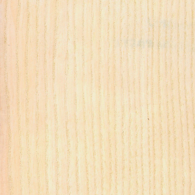 سفیدشده S