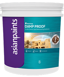 عایق رطوبتی الاستومری آسیان پینتس SmartCare Damp Proof